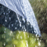 Rainfall-Downpour@04-04-2018-163816.jpg - Сулейман-Стальский район